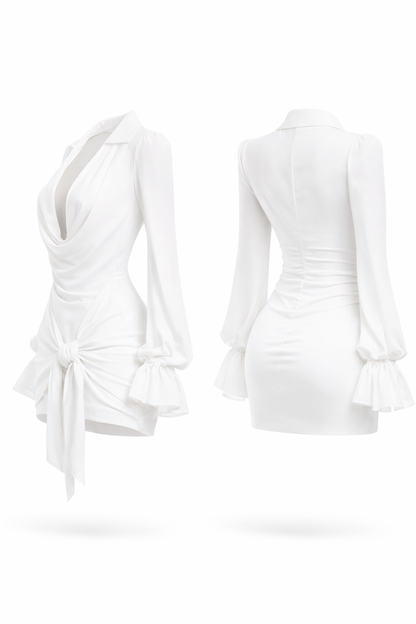 The Drape Affair Mini Dress